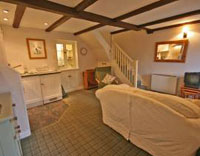 Ash Cottage, kitchen area